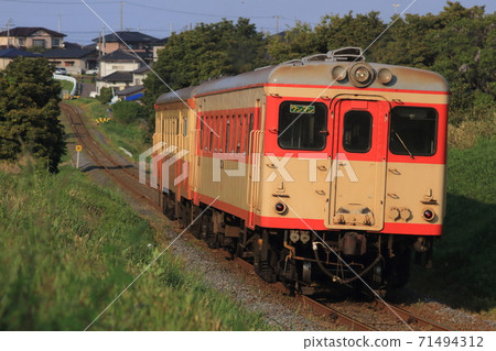 Hitachinaka Kaihin Railway Kiha 205, Kiha 2005_2013 / 5/5 Photographed 71494312