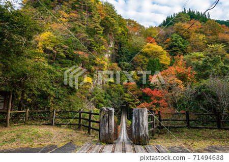 Gokanoshō autumn leaves scenery 71494688