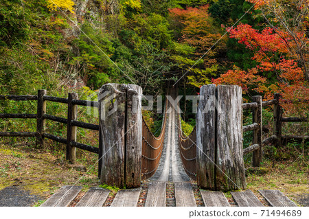 Gokanoshō autumn leaves scenery 71494689