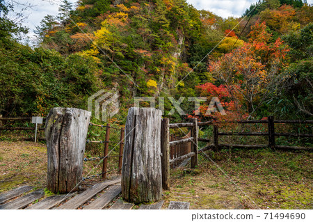 Gokanoshō autumn leaves scenery 71494690