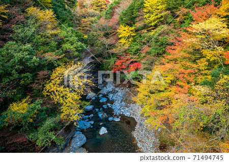 秋Gokaso秋葉風景 秋Gokaso秋葉風景 71494745