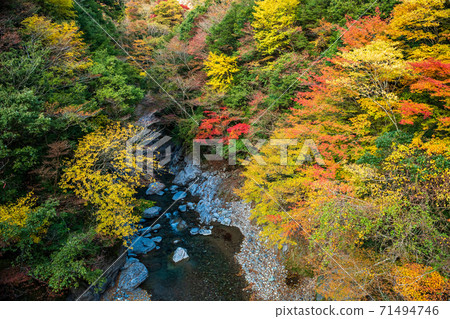 Gokanoshō autumn leaves scenery Gokanoshō autumn leaves scenery 71494746