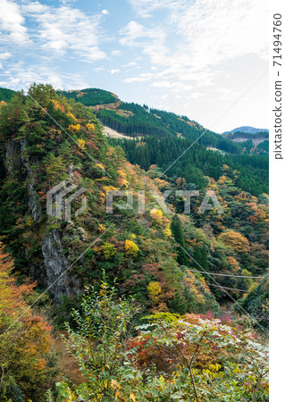 秋Gokaso秋葉風景 71494760