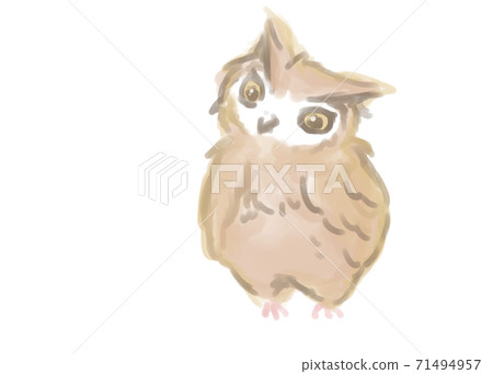 可愛的貓頭鷹（Mimizuku）水彩觸摸 71494957