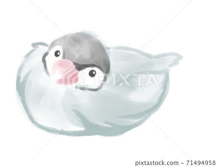 可愛的文學鳥水彩觸 71494958