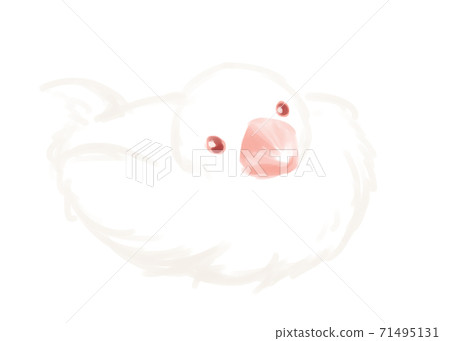 可愛的文學鳥（白色）水彩筆觸 71495131