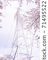 櫻花盛開和電力傳輸塔[彩色鉛筆] 71495522