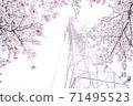 櫻花盛開和電力傳輸塔[彩色鉛筆] 71495523