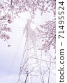 櫻花盛開和電力傳輸塔[彩色鉛筆] 71495524