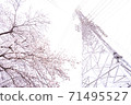 櫻花盛開和電力傳輸塔[彩色鉛筆] 71495527
