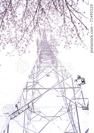 櫻花盛開和電力傳輸塔[彩色鉛筆] 71495529