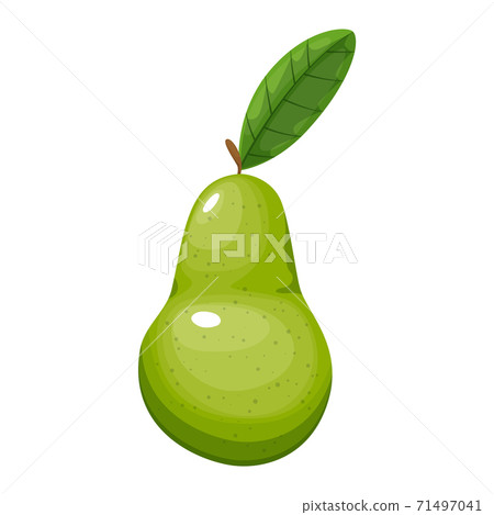 Colorful fruit. Pear icon. Vector illustration berry and fruit in flat cartoon style, isolated on white. Healthy lifestyle or vegetarian food concept 71497041