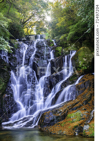 A popular spot in Itoshima: Beautiful autumn Shiraito Waterfall (Itoshima City, Fukuoka Prefecture) A popular spot in Itoshima: Beautiful autumn Shiraito Waterfall (Itoshima City, Fukuoka Prefecture) 71497204