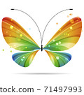 colorful multicolor striped bright butterfly, vector illustration 71497993