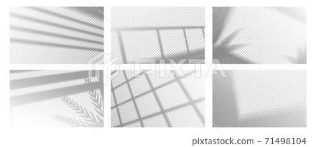 Shadow overlay effect. Realistic silhouette window frame, horizontal louvers and flowers. Collection of floral and line shades on transparent background. Vector decorative templates set 71498104