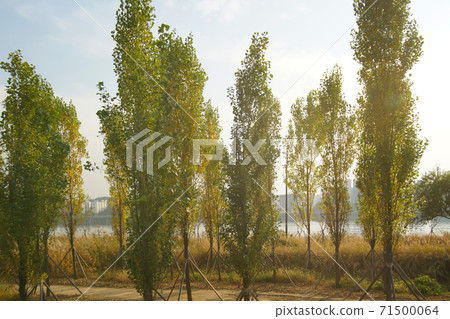Han River, Seoul Han River, Seoul 71500064