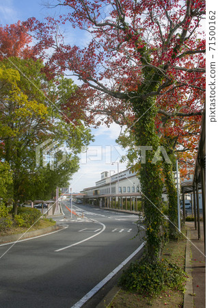 岡山機場的秋葉開始,旅遊季節已經到來 岡山機場的秋葉開始,旅遊季節已經到來 71500162