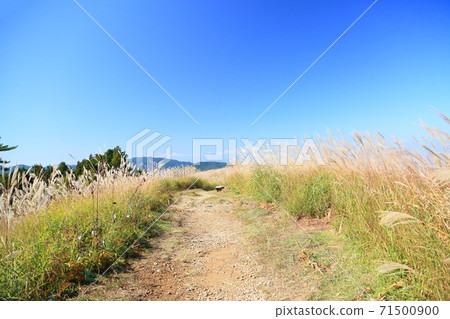 Mt. Iwawaki Susuki 71500900