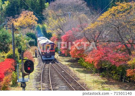 渡ar谷鐵路貫穿秋天的落葉2 71501140