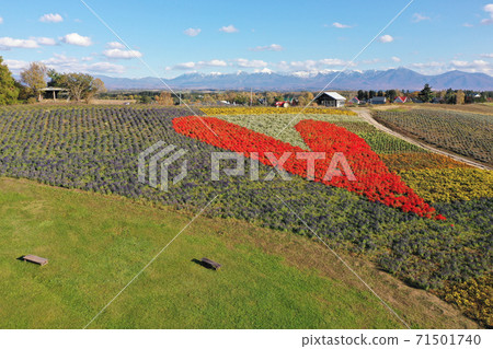 From the sky above Kanno Farm in Kamifurano From the sky above Kanno Farm in Kamifurano 71501740
