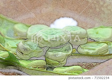 自製和簡單的自製“鹽煮索拉豆”彩色鉛筆素描風格 自製和簡單的自製“鹽煮索拉豆”彩色鉛筆素描風格 71502234