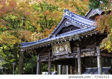 擁有美麗的秋葉的賴山千龍寺（福岡縣伊藤島市） 71502313
