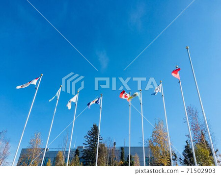 Flag 71502903