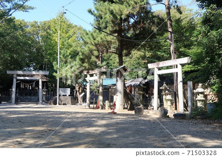 Nishio Shrine, Mitsurugi Hachimangu Shrine and Shinmei Shrine 71503328