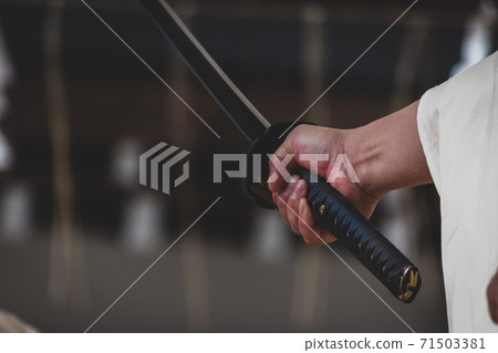 劍術示範 劍術示範 71503381