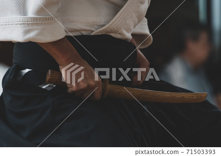 劍術示範 劍術示範 71503393