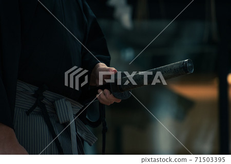 劍術示範 劍術示範 71503395