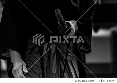 劍術示範 劍術示範 71503396