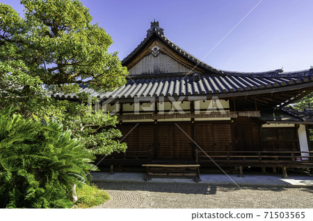 奈良縣生駒郡Ikaruga町Nakamiyaji表參道 71503565
