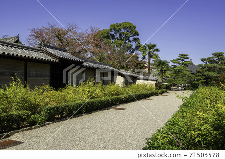 Chuguji Temple, Ikaruga Town, Ikoma District, Nara Prefecture 71503578