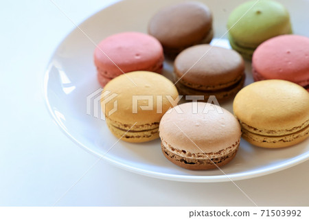 Macaroon 71503992