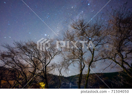 星光照射 星光照射 71504050