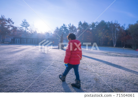 Walk on the snowy field Walk on the snowy field 71504061