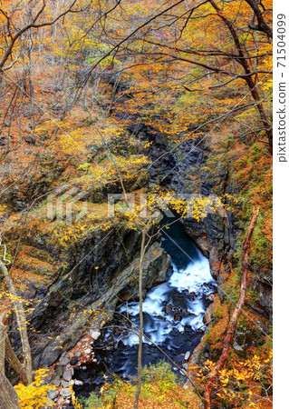 秋天在Azumakyo 71504099