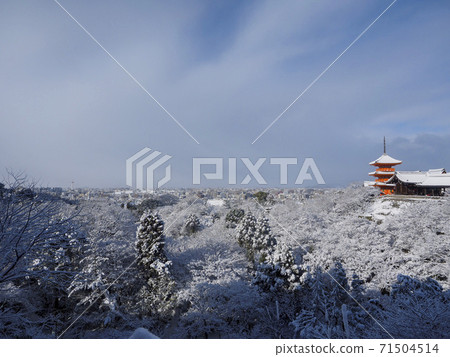 積雪覆蓋的京都市和清水寺 71504514