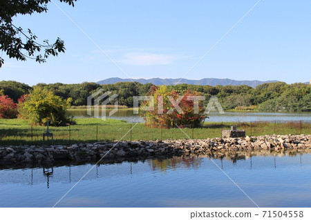 Koyaike in Itami [Hyogo Prefecture] 71504558