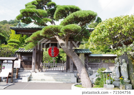 Hase Temple 71504756