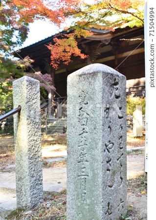 Autumn leaves of Sefukuji main hall and signpost stone Autumn leaves of Sefukuji main hall and signpost stone 71504994