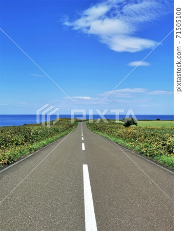 Road leading to the cape (Cape Notoro, Abashiri City, Hokkaido) 71505100