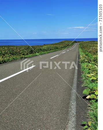 Road leading to the cape (Cape Notoro, Abashiri City, Hokkaido) 71505103