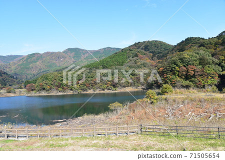 Autumn leaves in Shiobara # 21 Autumn leaves in Shiobara # 21 71505654