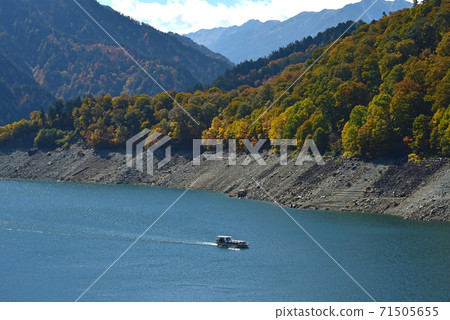 Autumn leaves of Tateyama Kurobe Alpine Route Autumn leaves of Tateyama Kurobe Alpine Route 71505655