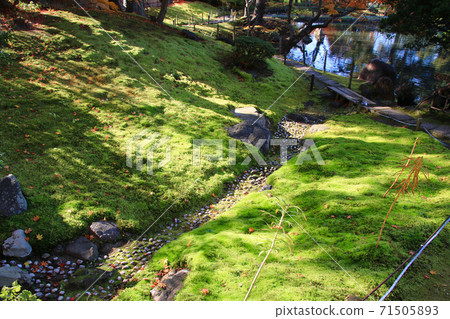 栗澤秋藥園（福島縣會津若松市） 71505893