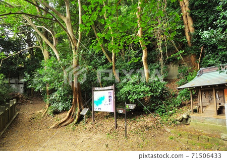 Shonandaira (Komayama Park) Hiking Course Koraiyama Prefectural Forest Guide Map and Kanto Fureai Road Sign (towards Otokozaka) Shonandaira (Komayama Park) Hiking Course Koraiyama Prefectural Forest Guide Map and Kanto Fureai Road Sign (towards Otokozaka) 71506433