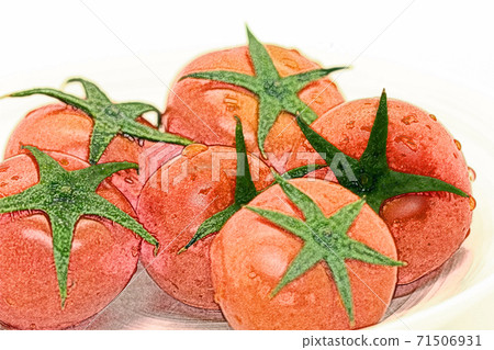 新鮮，質樸，成熟，新鮮的“迷你番茄”彩色鉛筆素描樣式 71506931