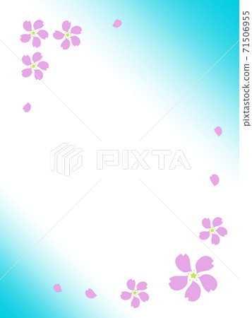 Sakura scenery under the blue sky Sakura scenery under the blue sky 71506955